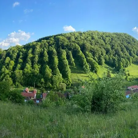 Muntii Aninei Gasthof